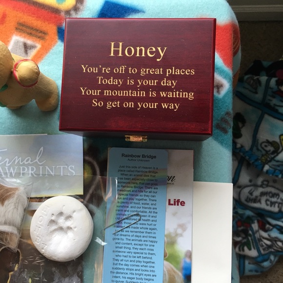 RIP my angel baby Honey😭😭🙏🙏💕4-3-2020🙏 - Picture 2 of 8